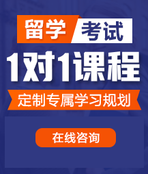 在线观看美女骚屄视频在线观看留学考试一对一精品课